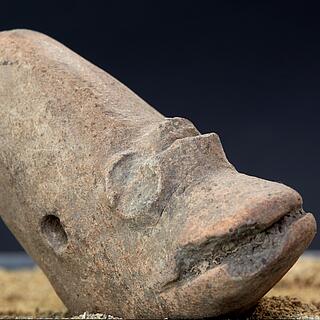 Hyppo Zoomorphe Figure 22.01.258