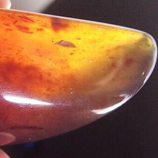 Beautiful red/blue amber bead 05.05.070