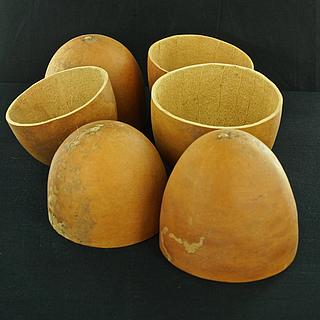 Six cups made out of pumpkinsqqxs 09.01.1673