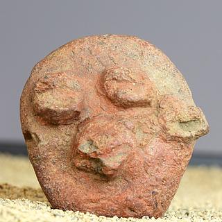 Very small human face 22.01.269